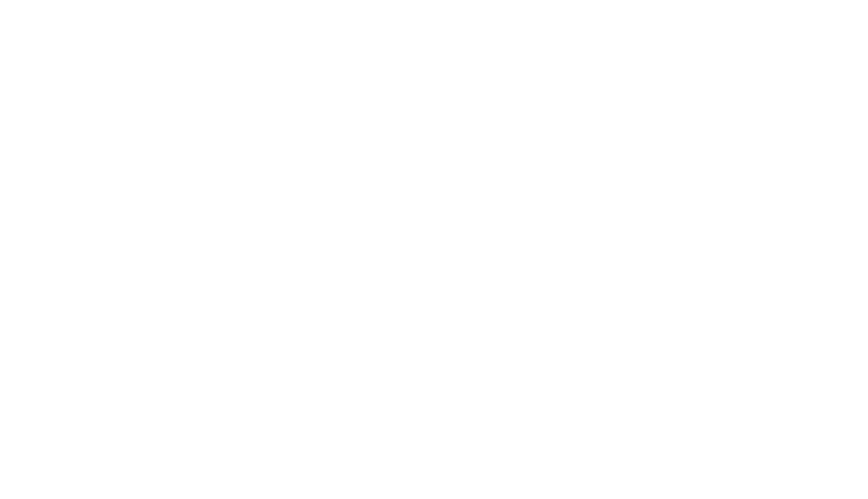 NoonPi logo